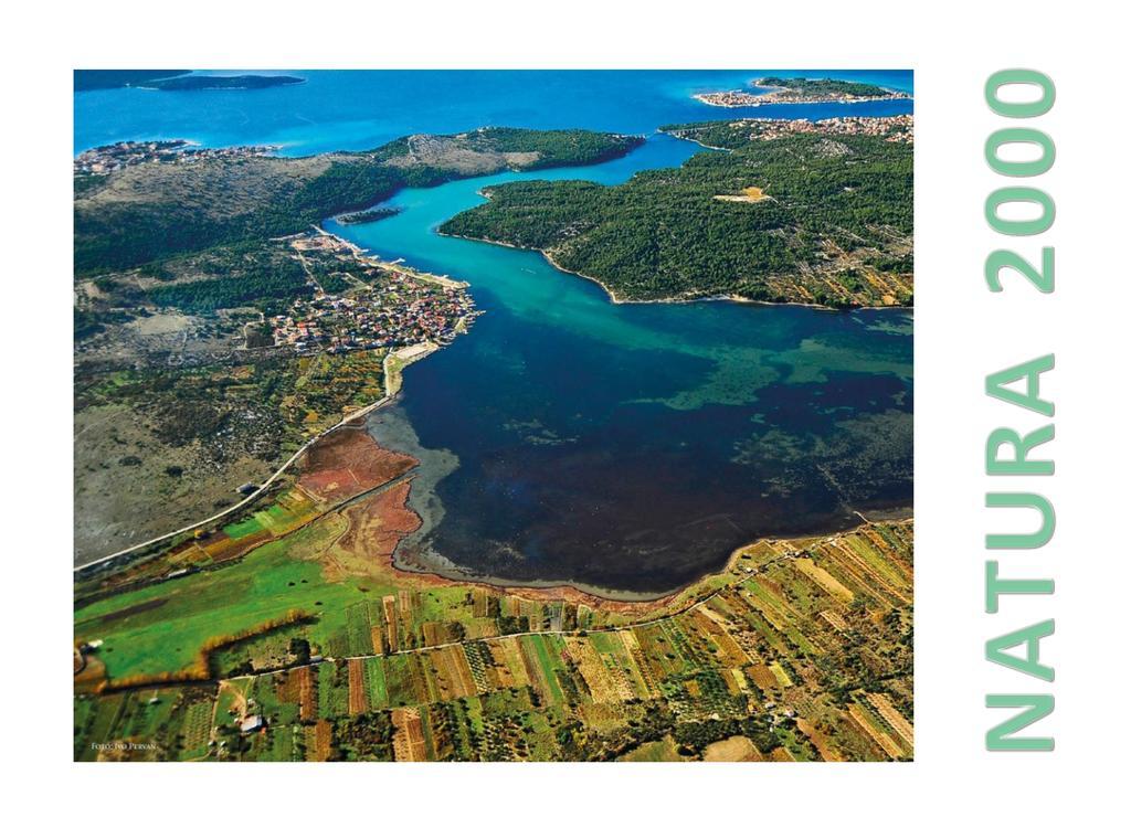 Apartments Vila Punta Jadrtovac Dış mekan fotoğraf